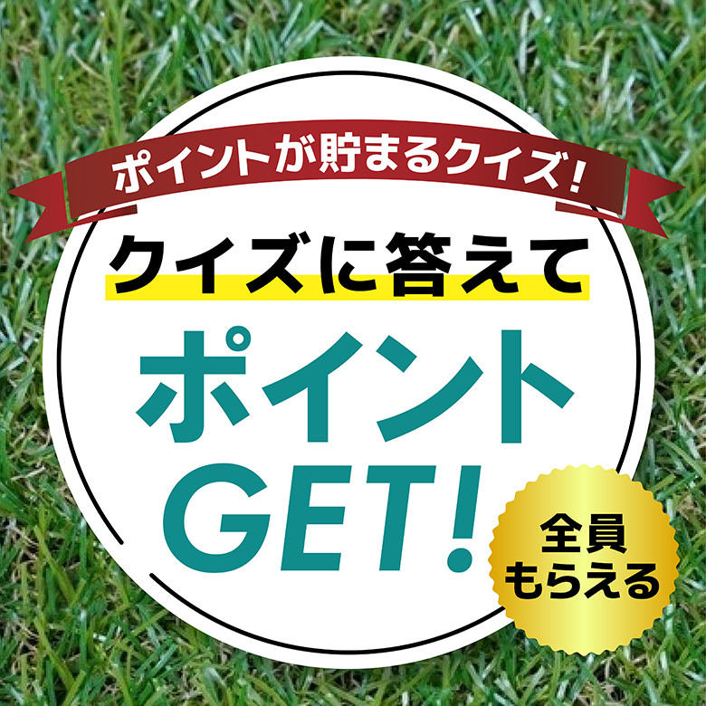 【ポイントが貯まる】麦茶クイズ